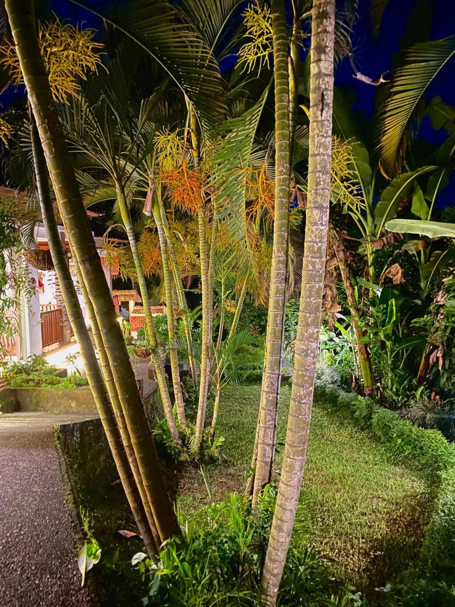 Ardan Maison Ubud Dış mekan fotoğraf